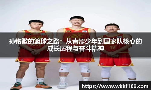 球速体育官网