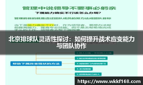 北京排球队灵活性探讨：如何提升战术应变能力与团队协作